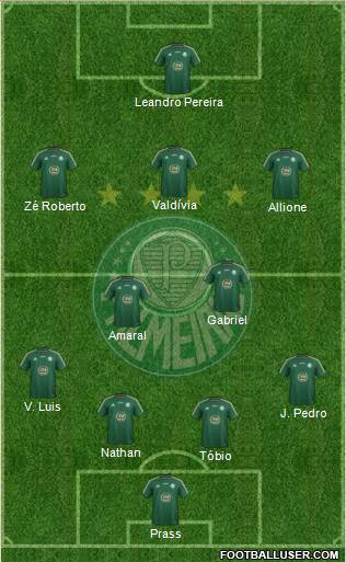 SE Palmeiras Formation 2015