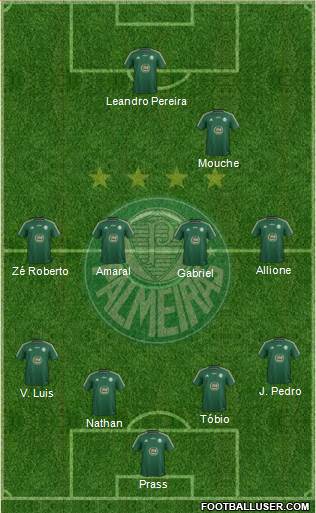 SE Palmeiras Formation 2015