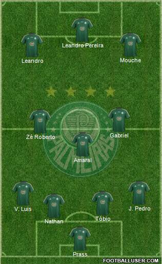 SE Palmeiras Formation 2015