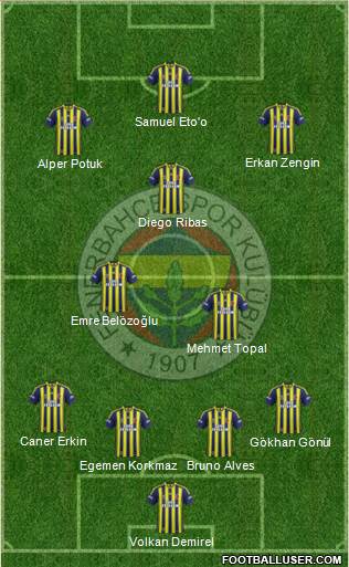 Fenerbahçe SK Formation 2015