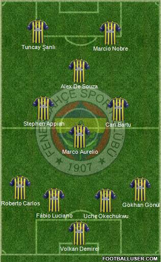 Fenerbahçe SK Formation 2015