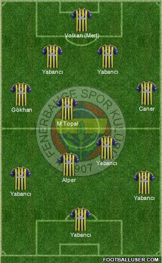 Fenerbahçe SK Formation 2015
