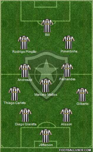 Botafogo FR Formation 2015