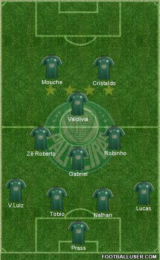 SE Palmeiras Formation 2015