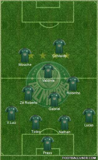 SE Palmeiras Formation 2015