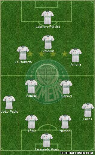 SE Palmeiras Formation 2015