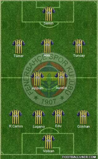 Fenerbahçe SK Formation 2015