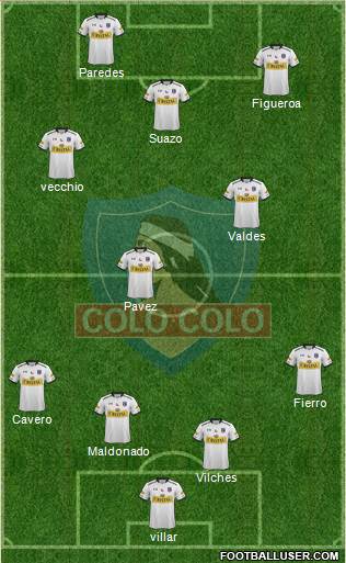CSD Colo Colo Formation 2015