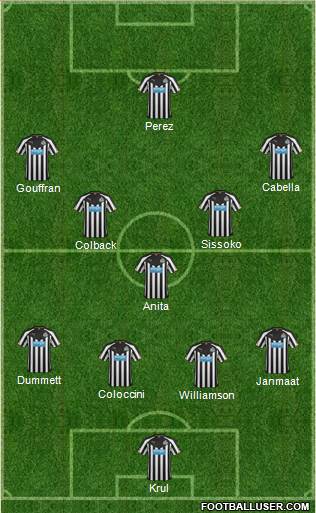 Newcastle United Formation 2015