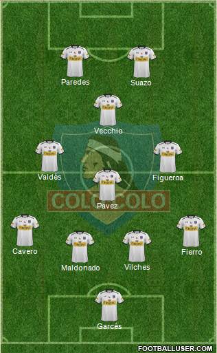 CSD Colo Colo Formation 2015