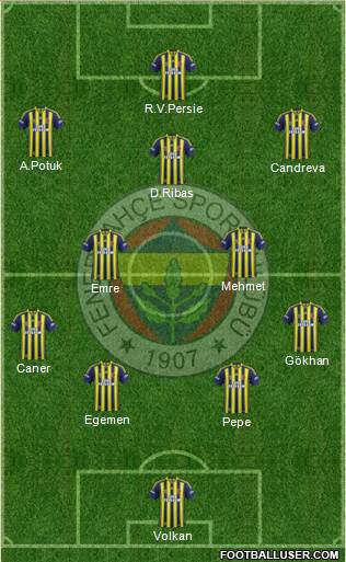 Fenerbahçe SK Formation 2015