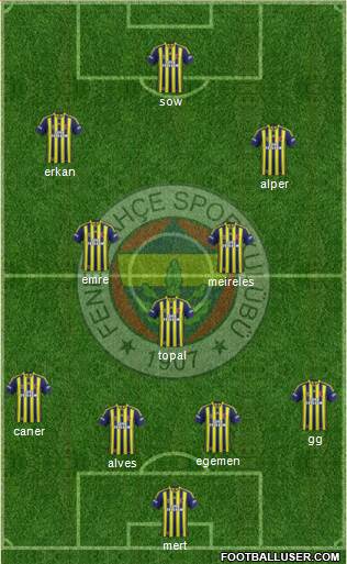 Fenerbahçe SK Formation 2015