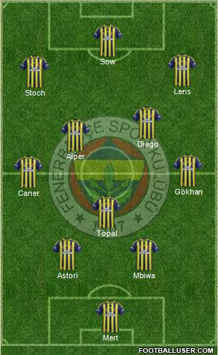 Fenerbahçe SK Formation 2015