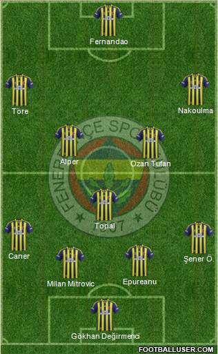Fenerbahçe SK Formation 2015