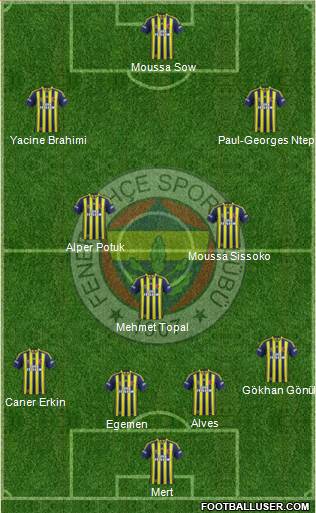Fenerbahçe SK Formation 2015