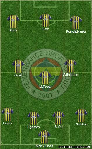 Fenerbahçe SK Formation 2015