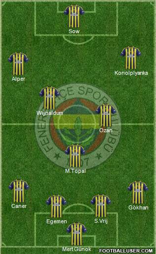 Fenerbahçe SK Formation 2015