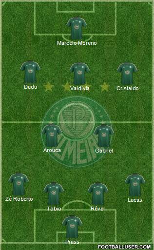 SE Palmeiras Formation 2015