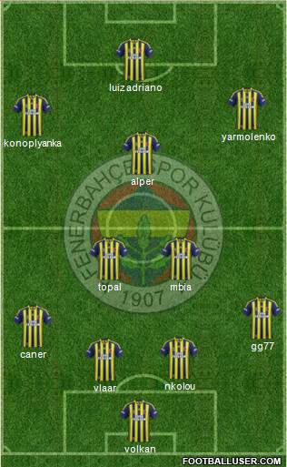Fenerbahçe SK Formation 2015