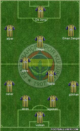 Fenerbahçe SK Formation 2015
