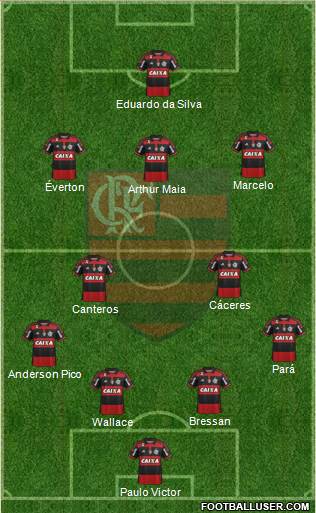 CR Flamengo Formation 2015