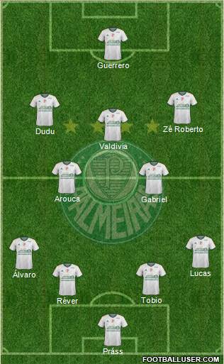 SE Palmeiras Formation 2015