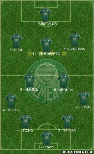 SE Palmeiras Formation 2015