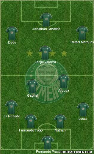 SE Palmeiras Formation 2015