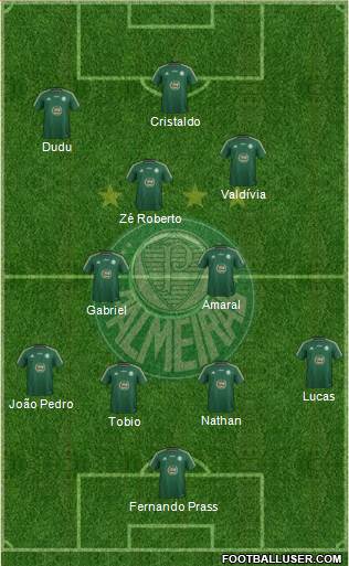 SE Palmeiras Formation 2015