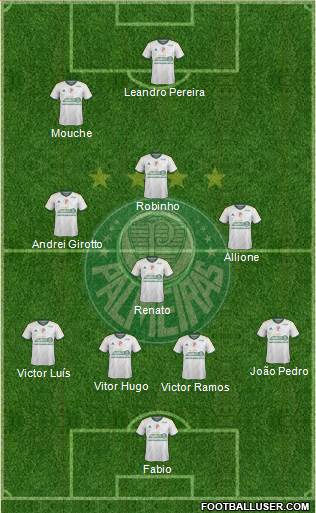 SE Palmeiras Formation 2015
