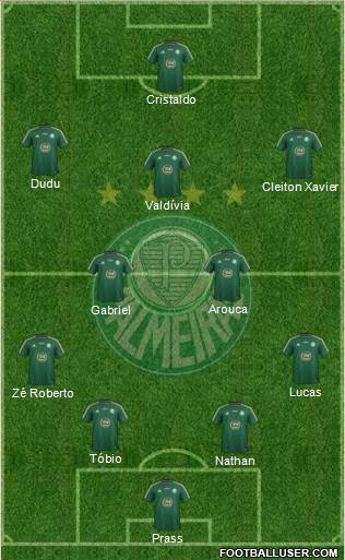 SE Palmeiras Formation 2015