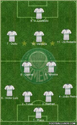 SE Palmeiras Formation 2015