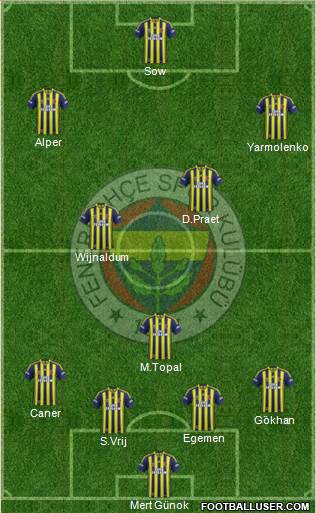 Fenerbahçe SK Formation 2015