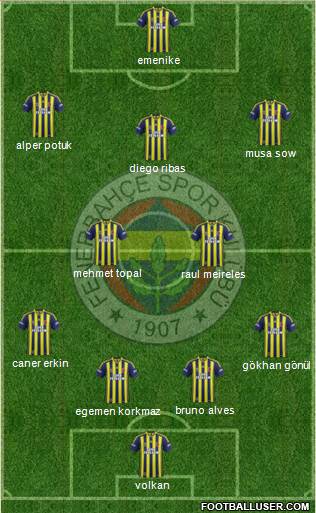 Fenerbahçe SK Formation 2015
