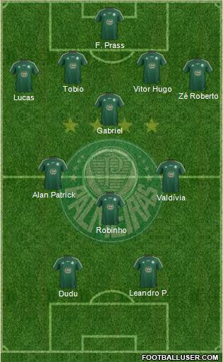 SE Palmeiras Formation 2015