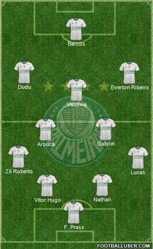 SE Palmeiras Formation 2015