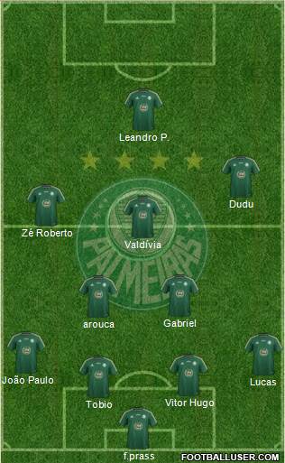 SE Palmeiras Formation 2015