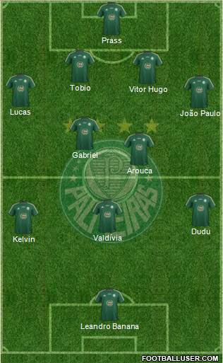 SE Palmeiras Formation 2015