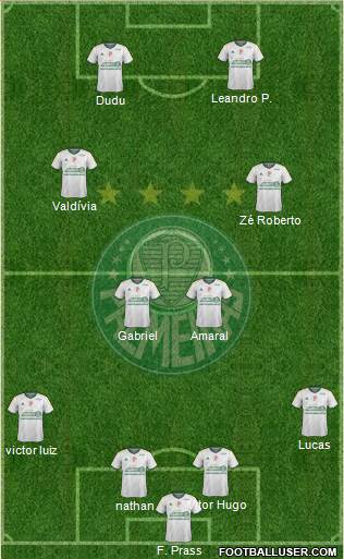 SE Palmeiras Formation 2015