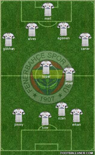 Fenerbahçe SK Formation 2015
