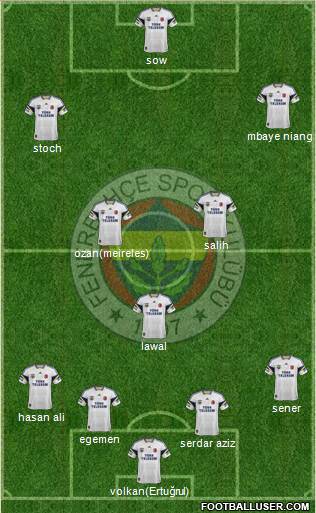Fenerbahçe SK Formation 2015