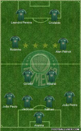 SE Palmeiras Formation 2015