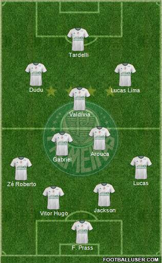 SE Palmeiras Formation 2015