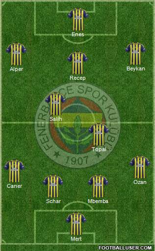 Fenerbahçe SK Formation 2015