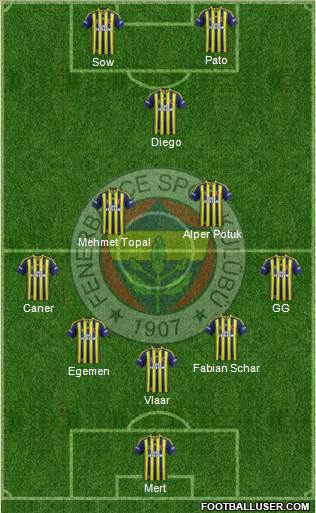Fenerbahçe SK Formation 2015