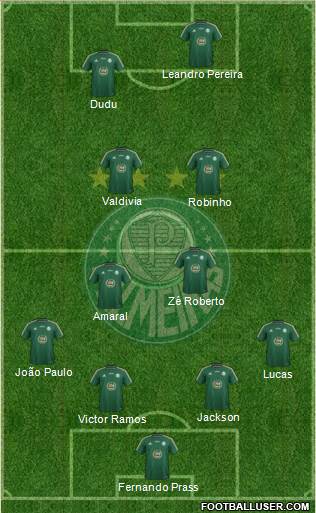 SE Palmeiras Formation 2015