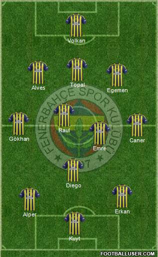 Fenerbahçe SK Formation 2015