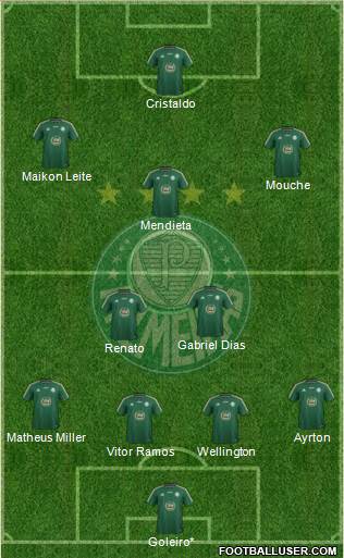 SE Palmeiras Formation 2015