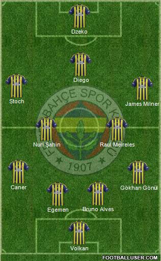 Fenerbahçe SK Formation 2015