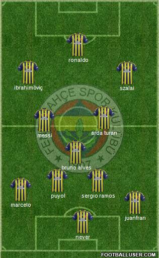 Fenerbahçe SK Formation 2015